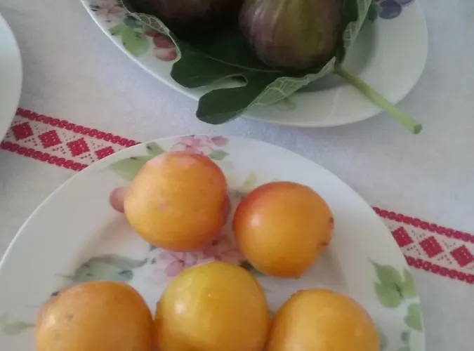 Li Curti Bed and Breakfast Melissano