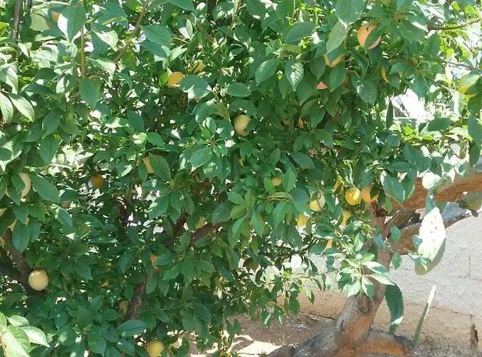 Li Curti Bed and Breakfast 3*