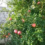 Li Curti Alojamento de Acomodação e Pequeno-almoço Melissano