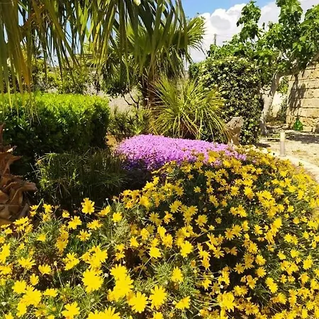 Bed & Breakfast Li Curti