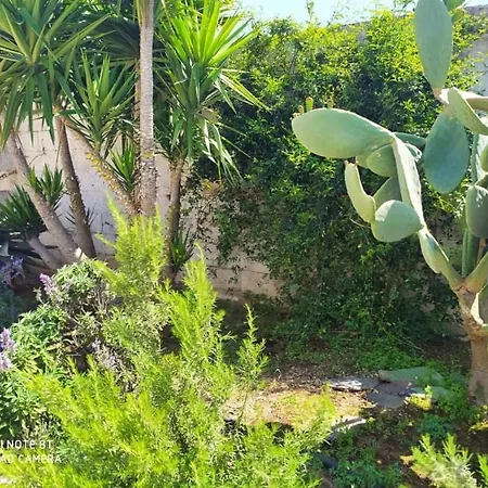 Bed & Breakfast Li Curti *