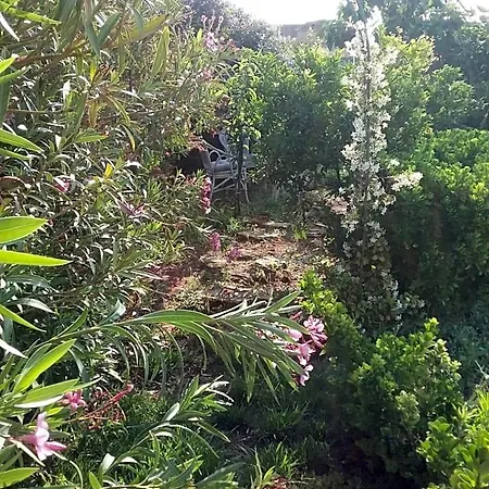Li Curti Melissano