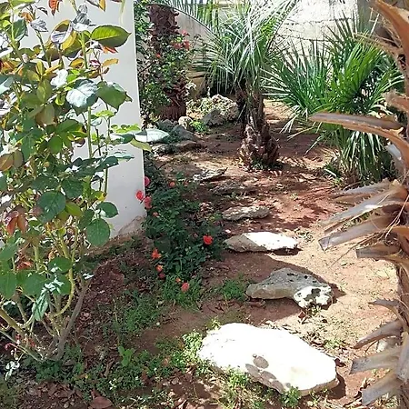 Li Curti Melissano