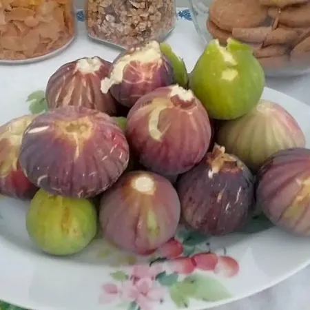 Li Curti Alojamento de Acomodação e Pequeno-almoço Melissano