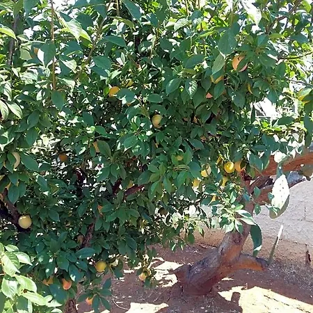 Li Curti 3* Melissano