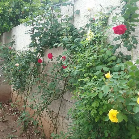 Li Curti Bed & Breakfast Melissano