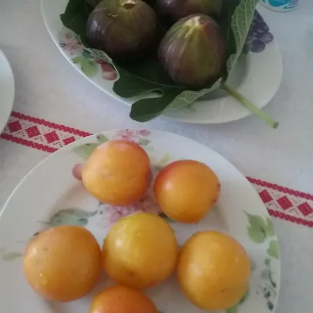Li Curti Отель типа 