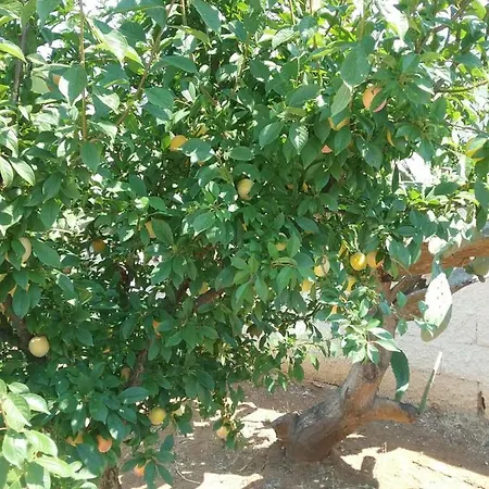 Li Curti Bed and Breakfast 3*