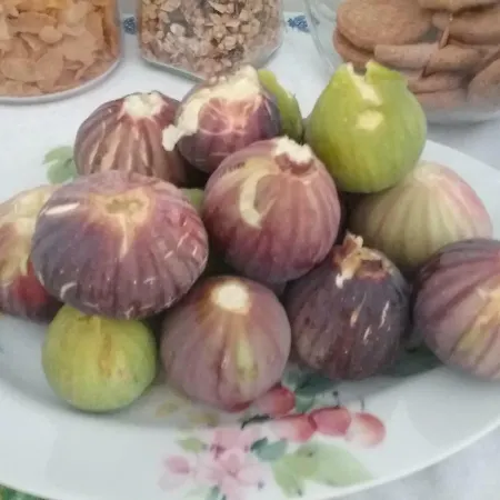Li Curti